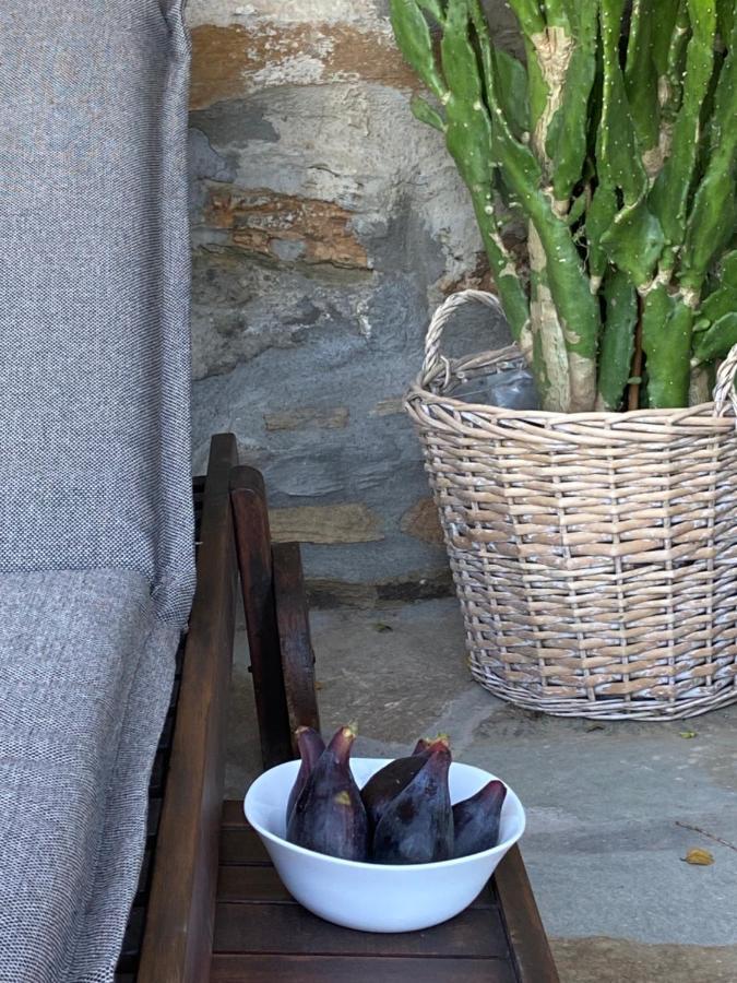 Gaia Vacation Home Agia Mavra Dış mekan fotoğraf